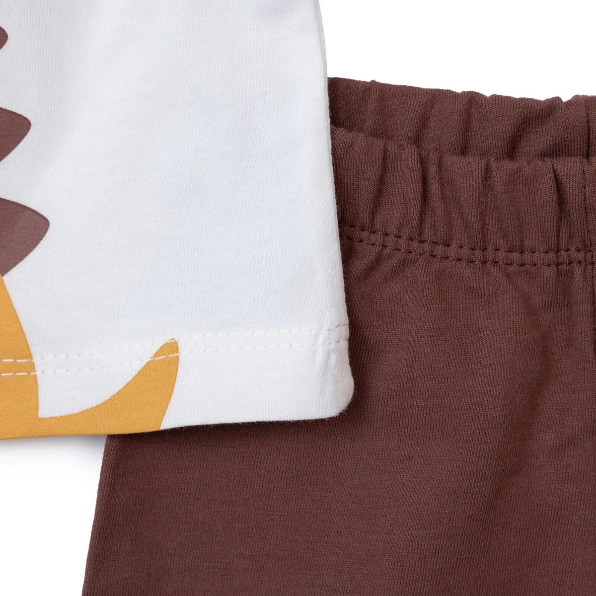 HelloBaby Boys T-shirt & Shorts Set Dinosaur Print - Dark Brown - Image 5