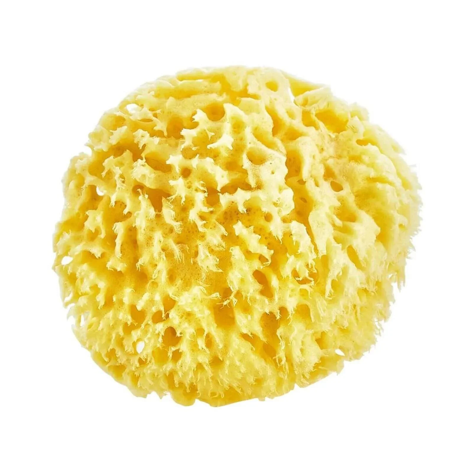 Babyjem Natural Sea Bath Sponge - Image 3