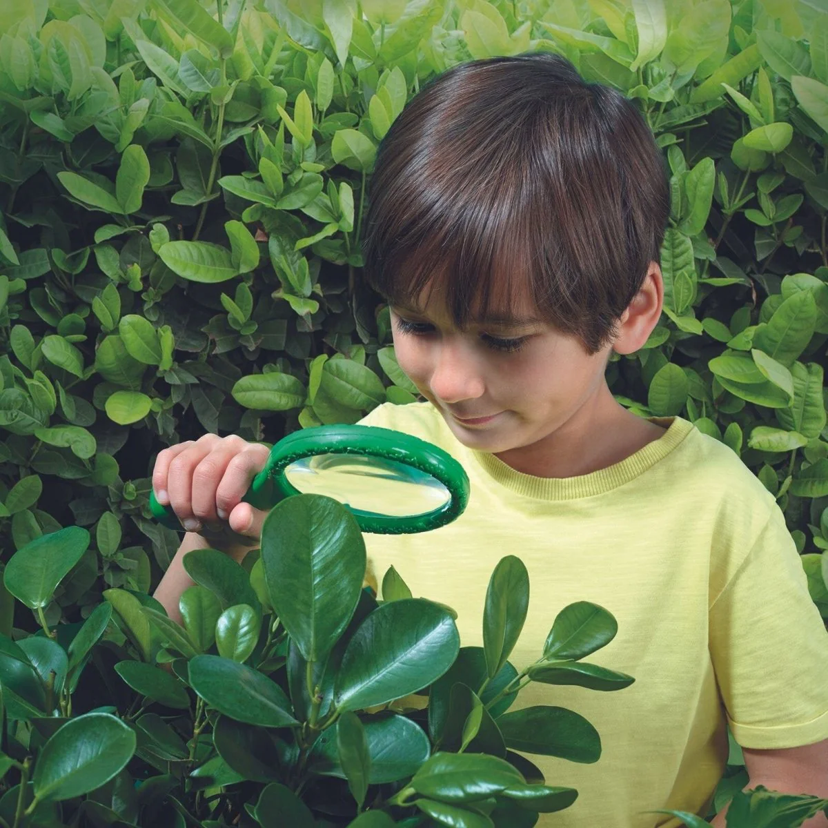 Brainstorm Outdoor Adventure Magnifier - Image 2