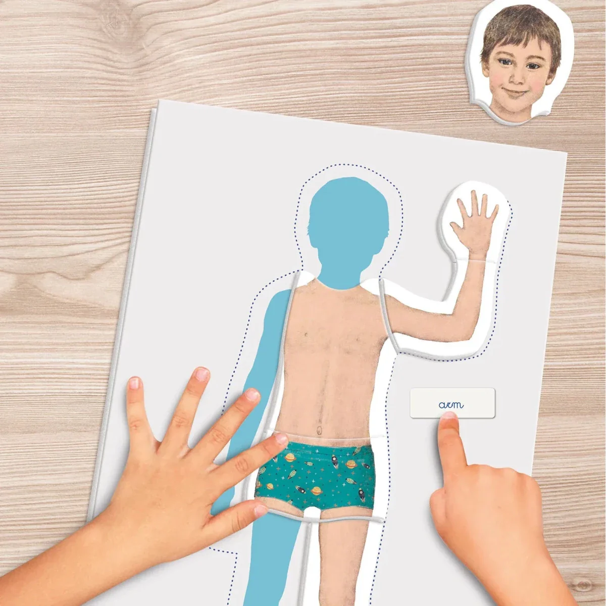 Clementoni Montessori - Human Body - Image 3