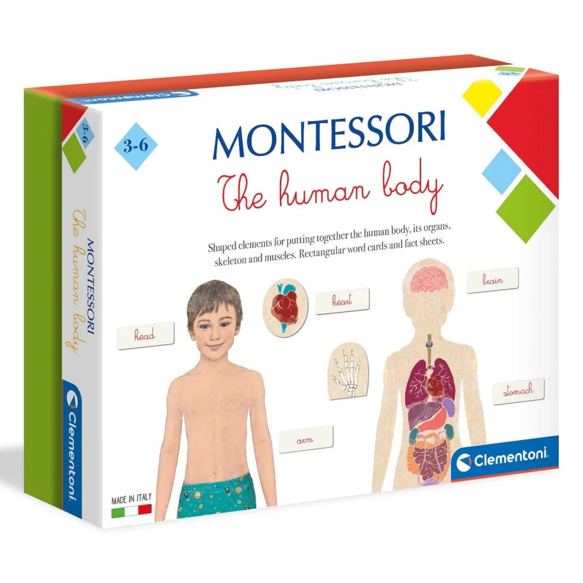 Clementoni Montessori - Human Body - Image 4