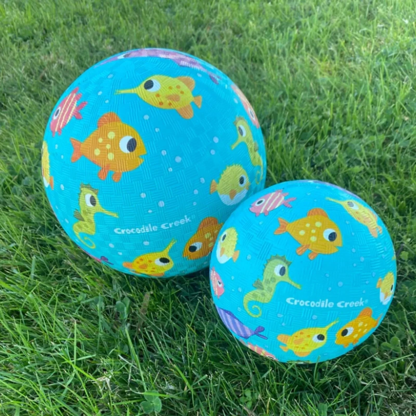 Wheely Bug Crocodile Creek 5" Playball - Fish - Image 2