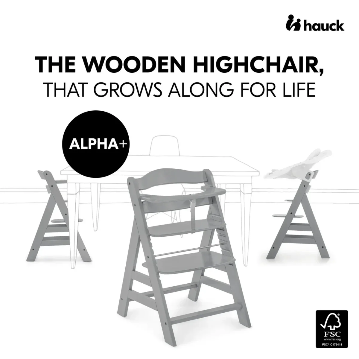Hauck Alpha+ Premium Bundle - Grey - Image 2