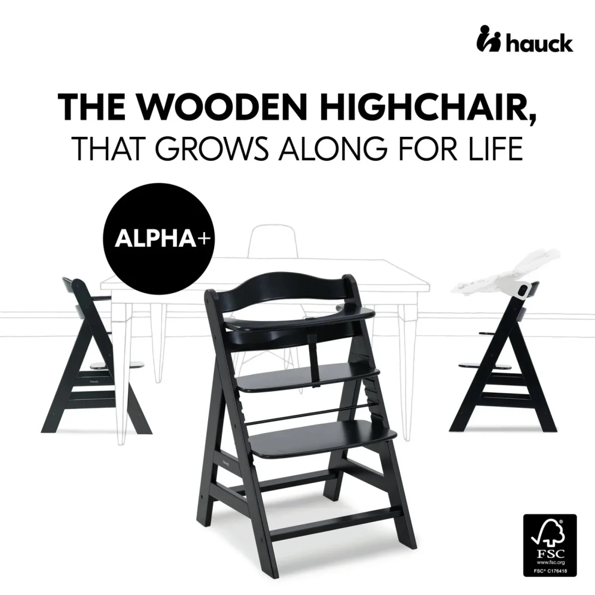 Hauck Alpha+ Premium Bundle - Black - Image 2