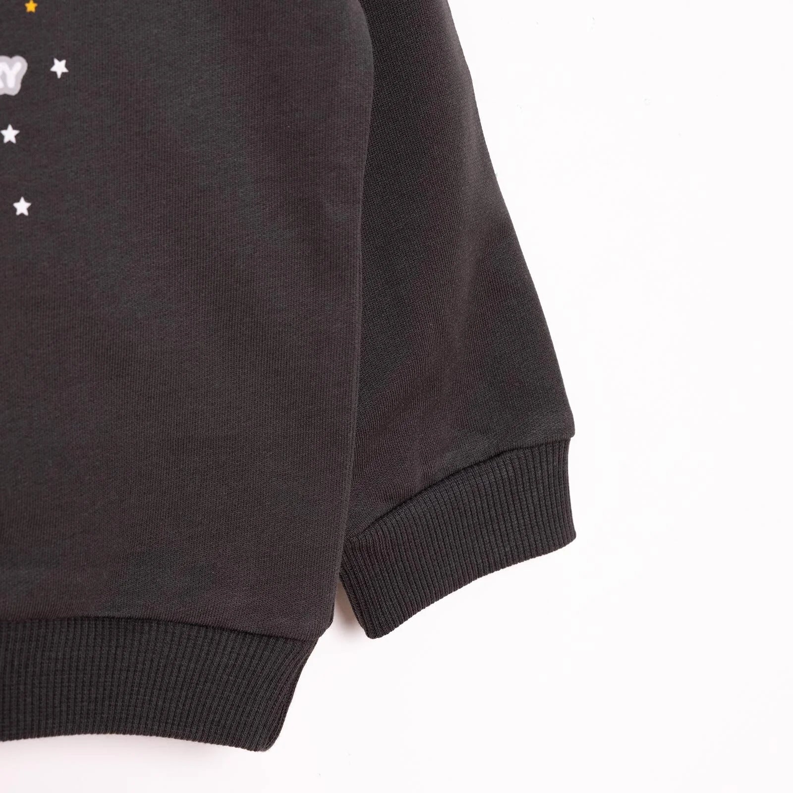 HelloBaby Basic Low Raised Lion Printed Sweatshirt - Dark Grey - Image 6