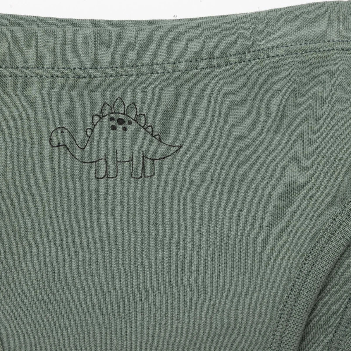 HelloBaby Boys Knickers Dinosaur - Petrol Green - Image 6
