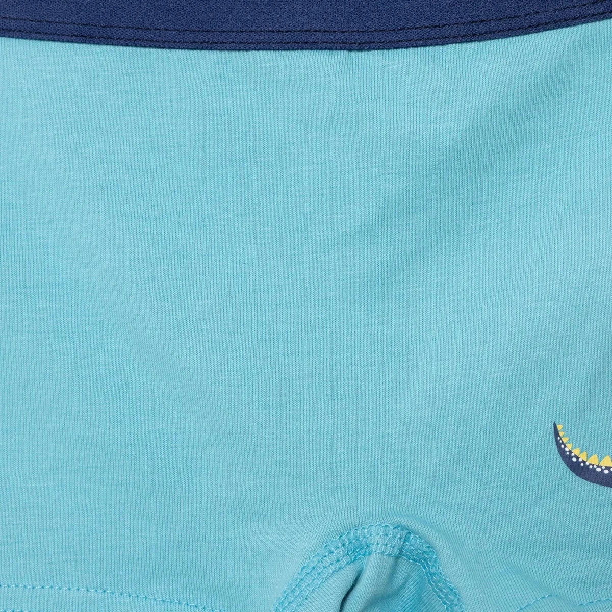 HelloBaby Boys Knickers Dinosaur - Blue - Image 6