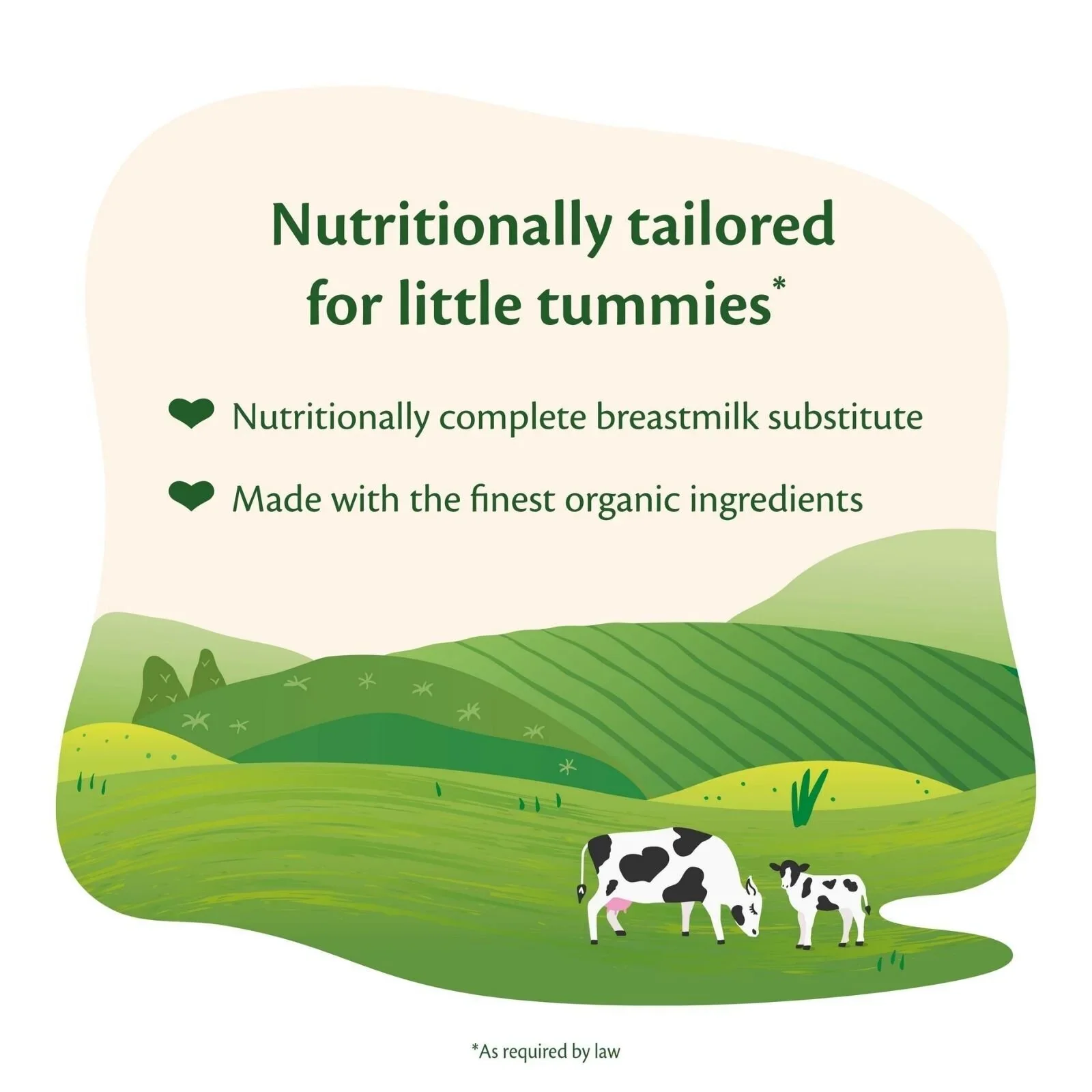 HiPP Organic 1 First Infant Baby Milk Formula from Birth 800g - Image 3