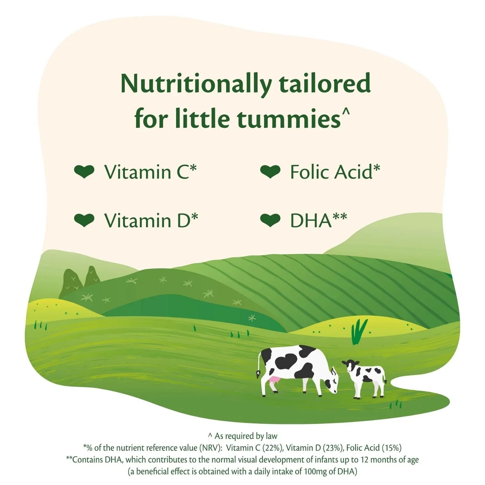 HiPP Organic 2 Follow on Baby Milk Formula from 6+ months 800g - Image 2