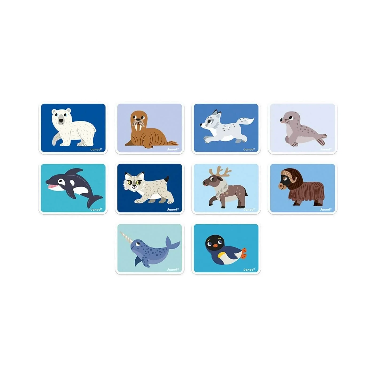 Janod Magnetibook Polar Animals - Image 5