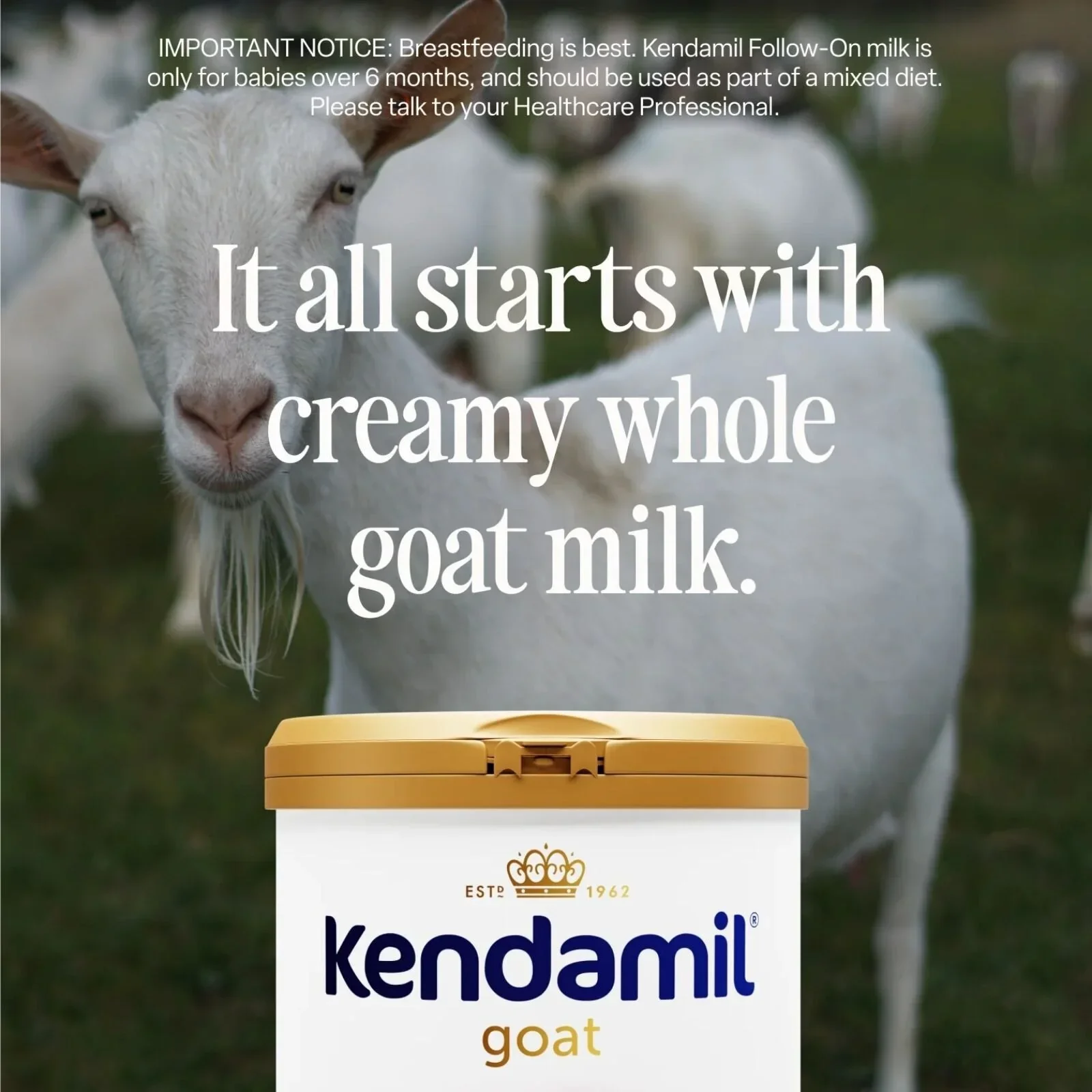 Kendamil Stage 1 Goat First Infant Milk From Birth 800g - Image 2