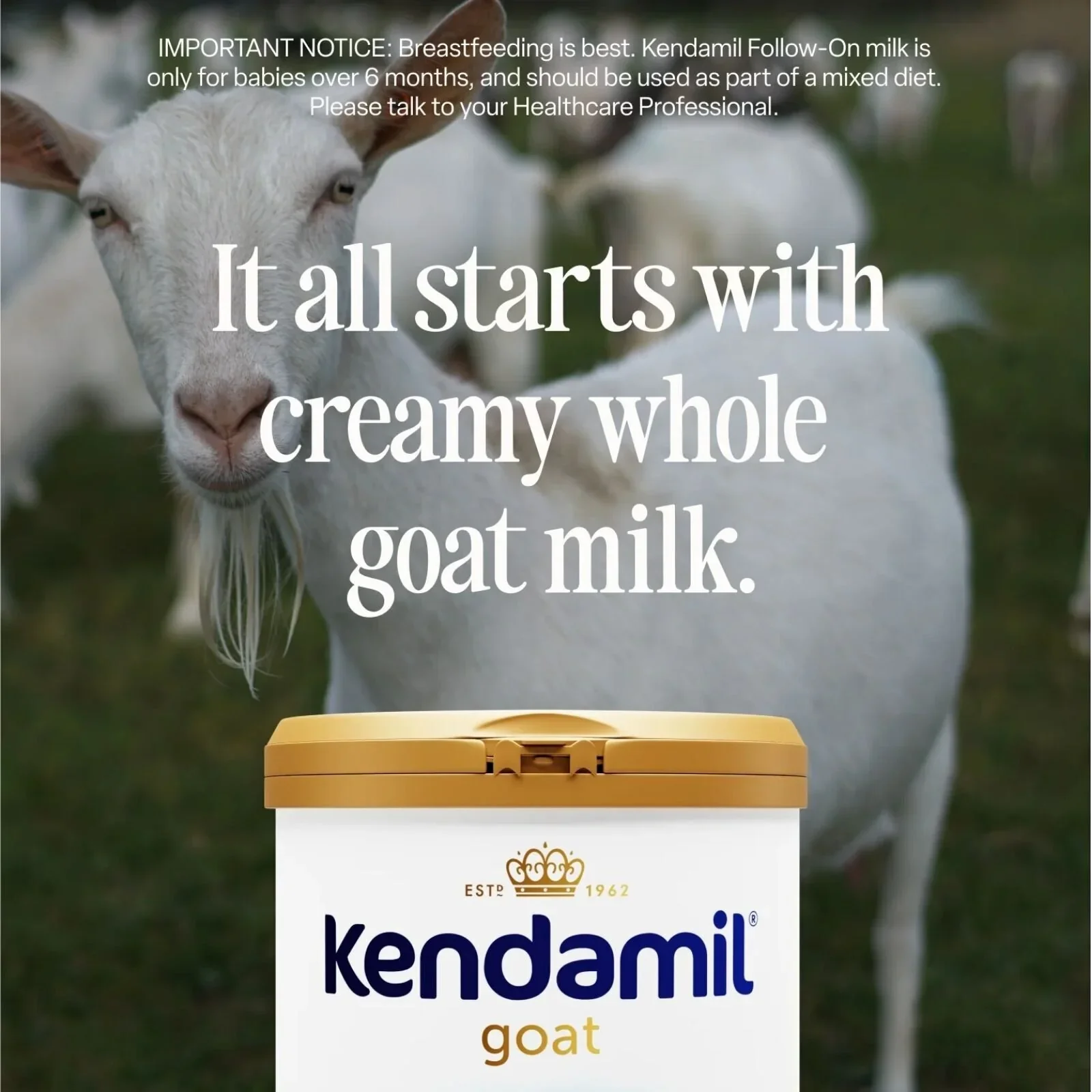 Kendamil Stage 2 Goat Follow-On Milk 6-12 months 800g - Image 3