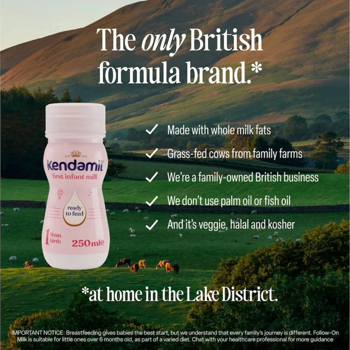 Kendamil Ready To Feed Stage 1 First Infant Milk from Birth 1500ml (6x250ml) - Image 3