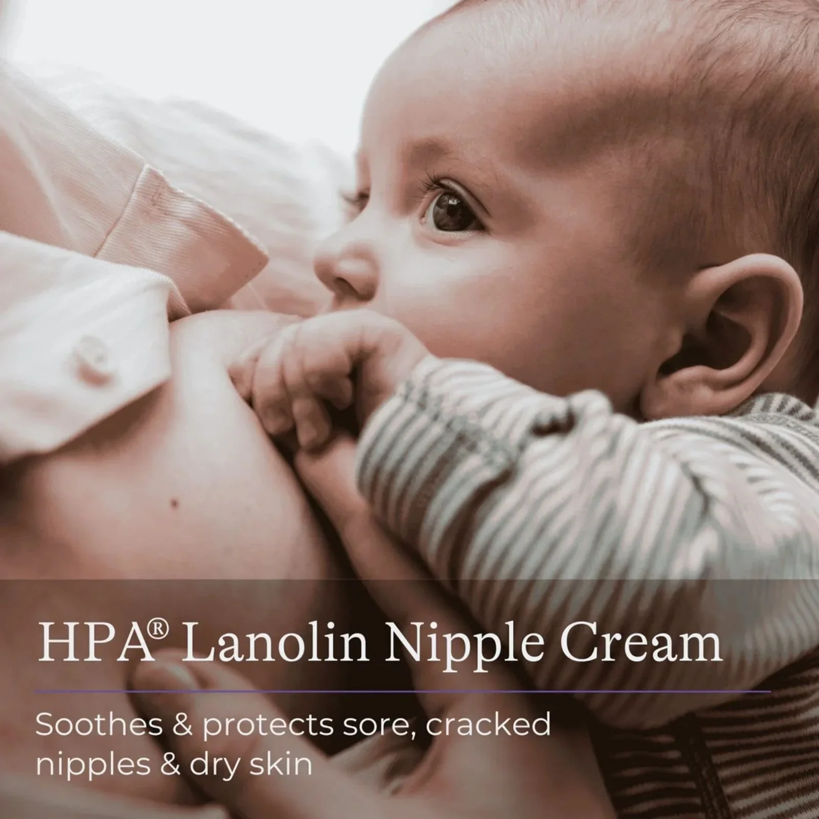 Lansinoh HPA Lanolin Nipple Cream 10ml - Image 2