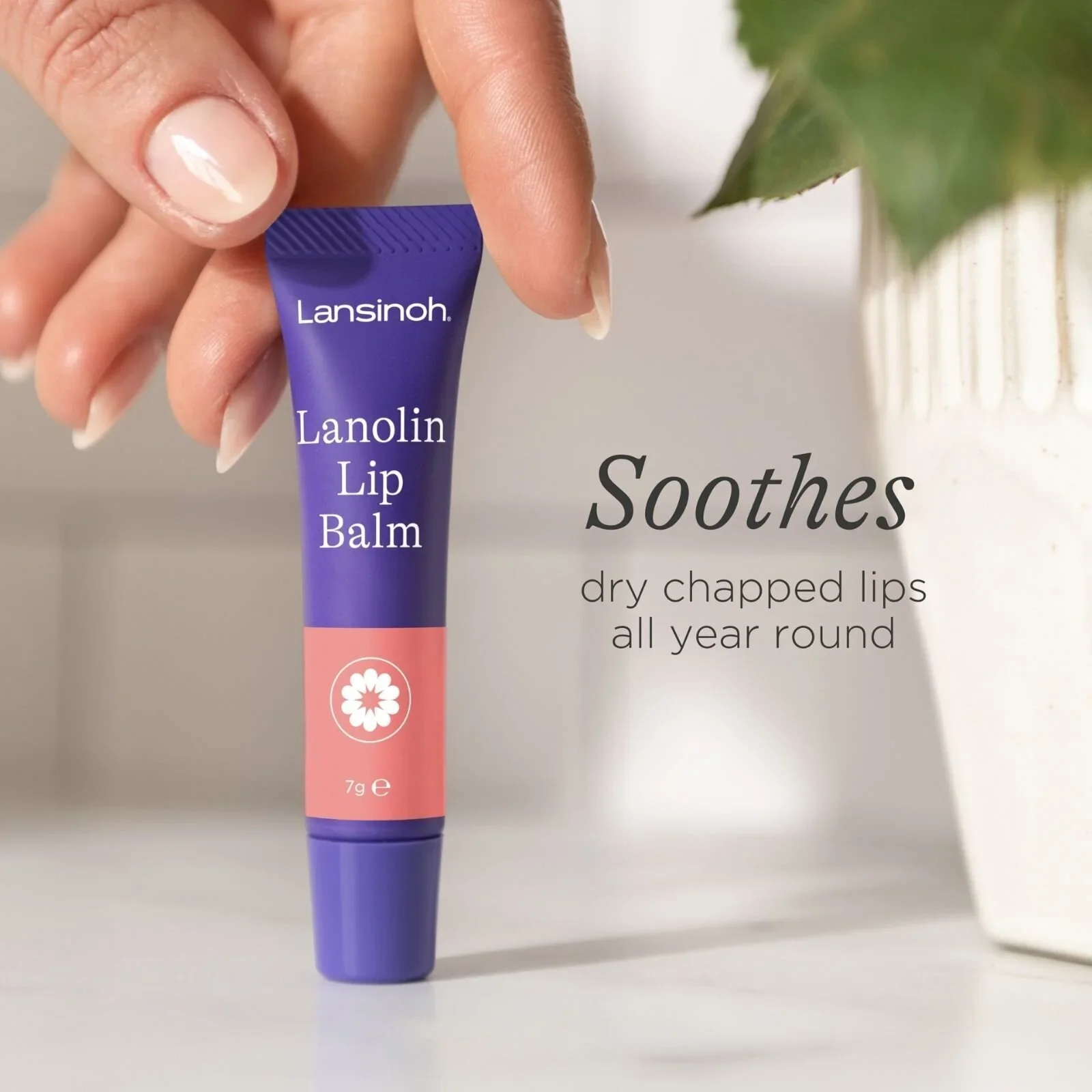 Lansinoh Lanolin Lip Balm 7g - Image 4