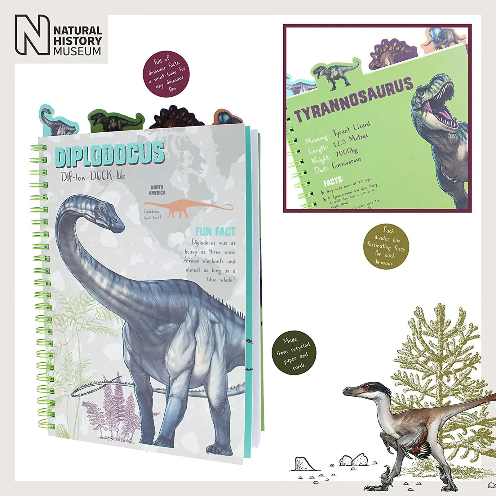 National History Museum A5 Project Book - Image 3