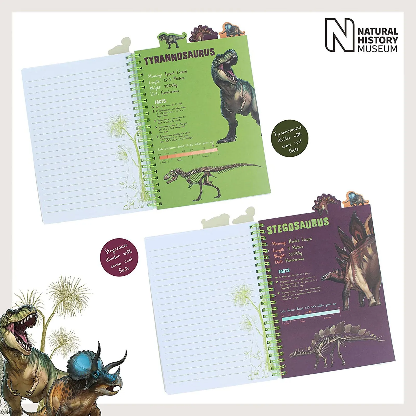 National History Museum A5 Project Book - Image 4