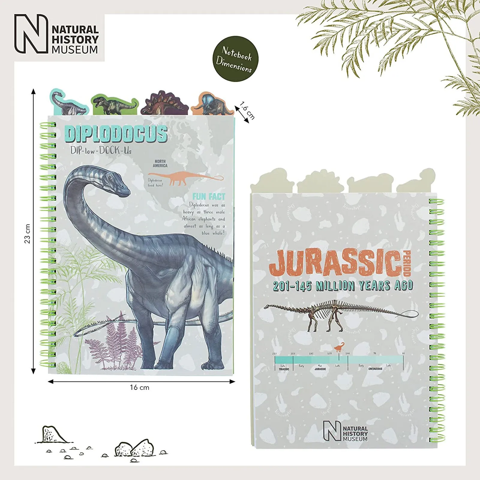 National History Museum A5 Project Book - Image 5