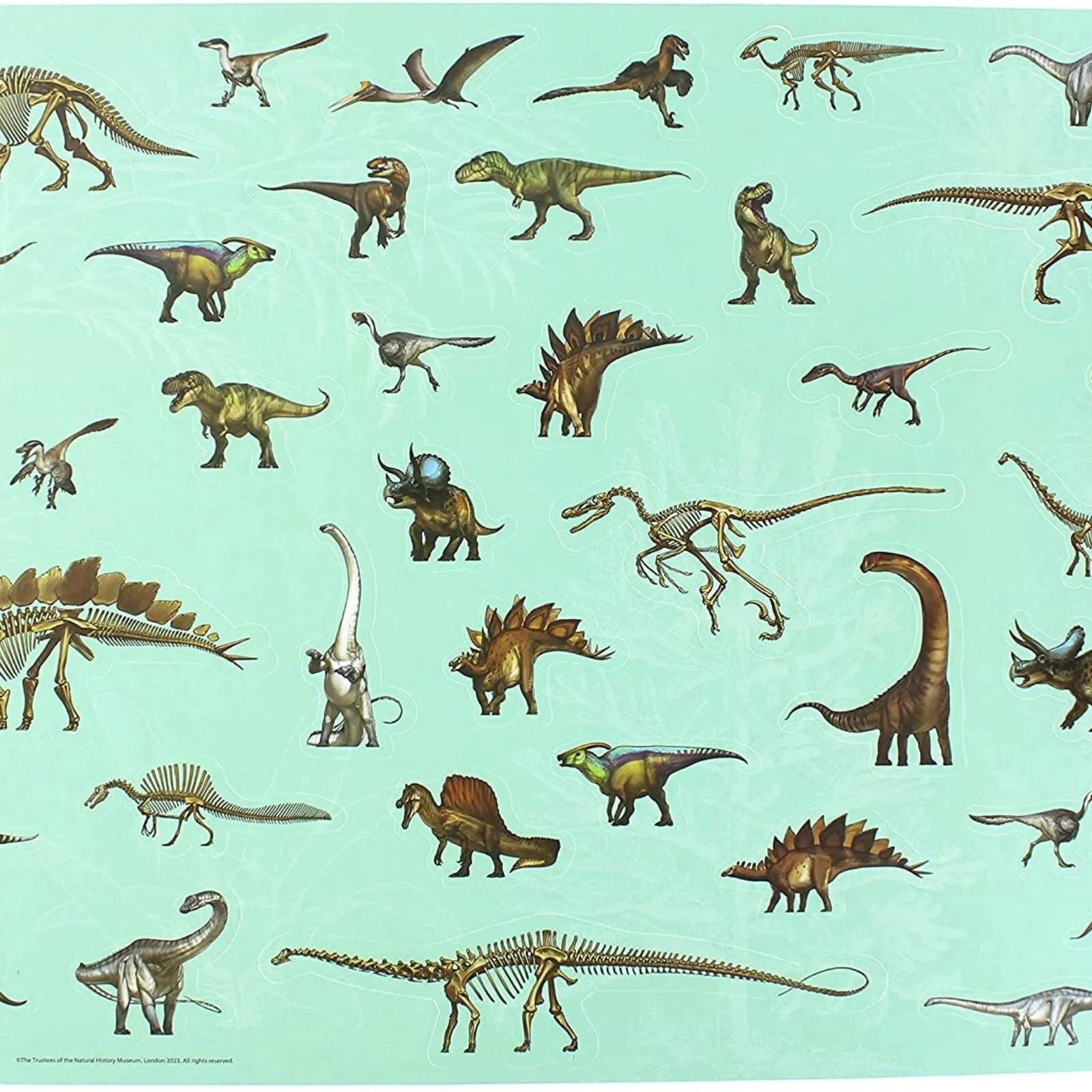 National History Museum Colouring Pad - Image 2