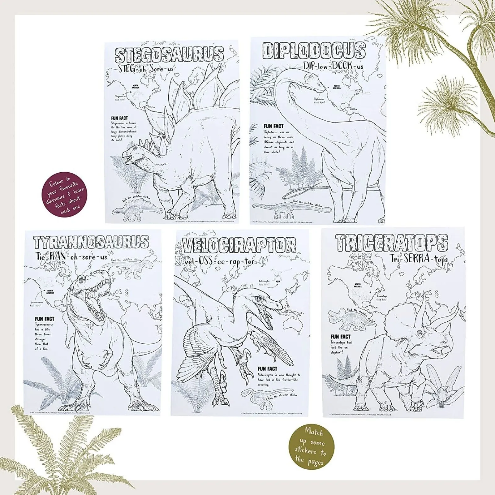 National History Museum Colouring Pad - Image 3