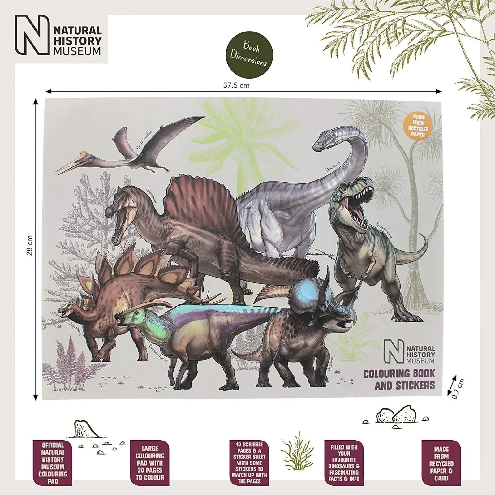 National History Museum Colouring Pad - Image 4