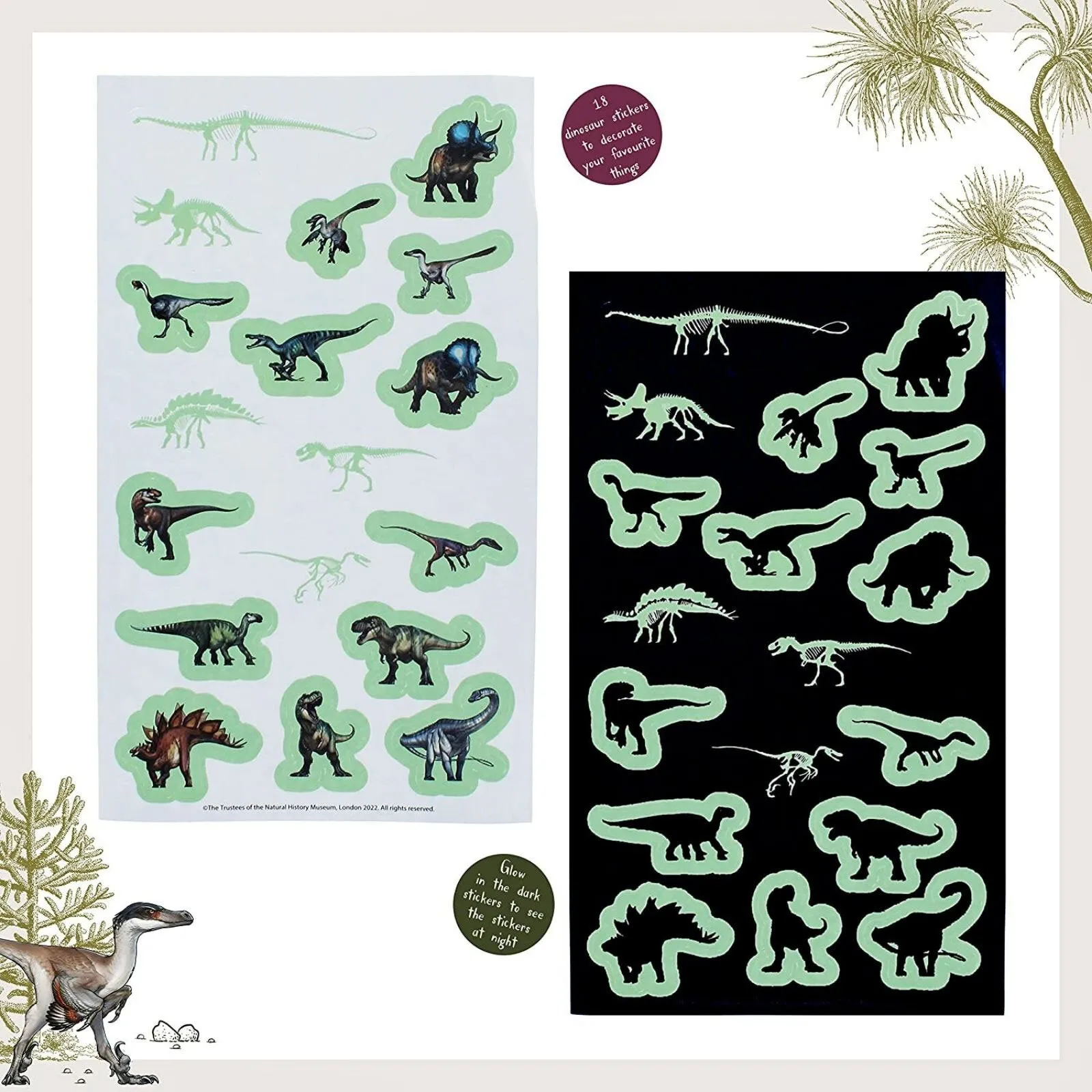 National History Museum Glow in the Dark Stickers - Image 2