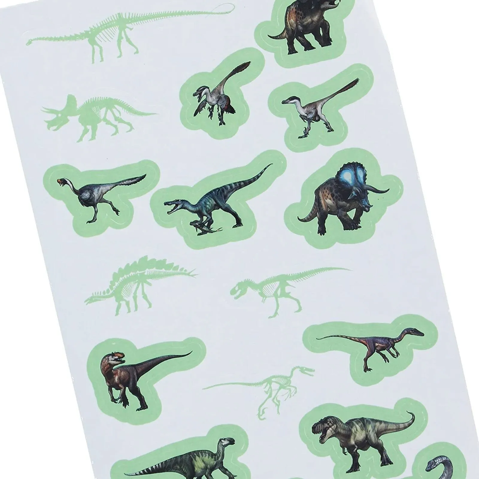 National History Museum Glow in the Dark Stickers - Image 4