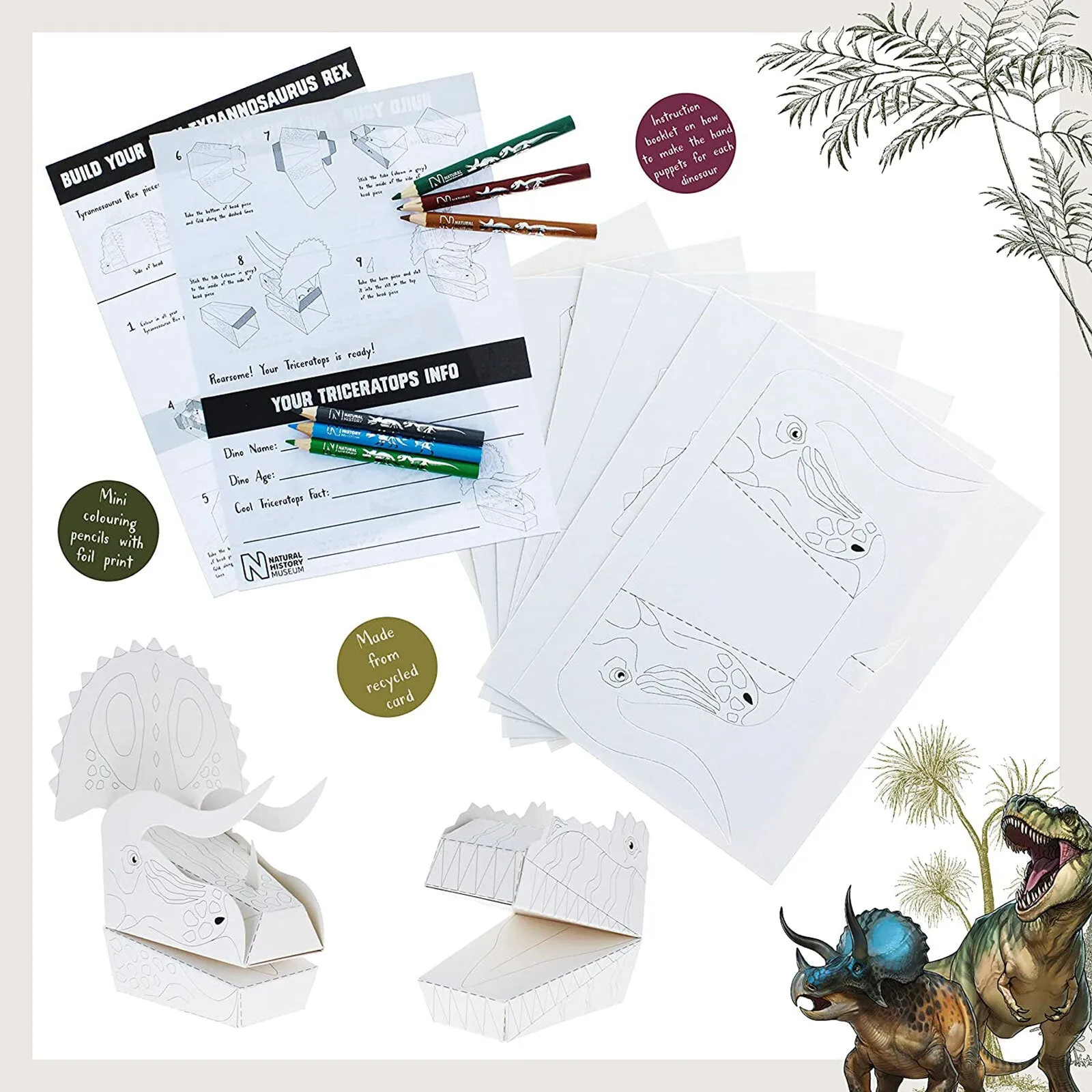 National History Museum Make & Colour Your Own Dinosaur - Image 2