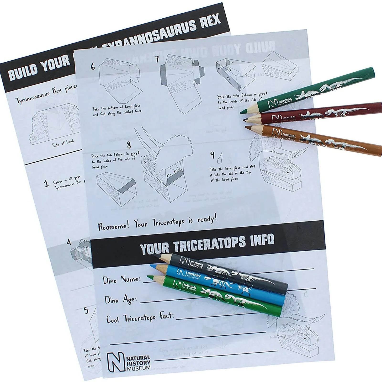 National History Museum Make & Colour Your Own Dinosaur - Image 5