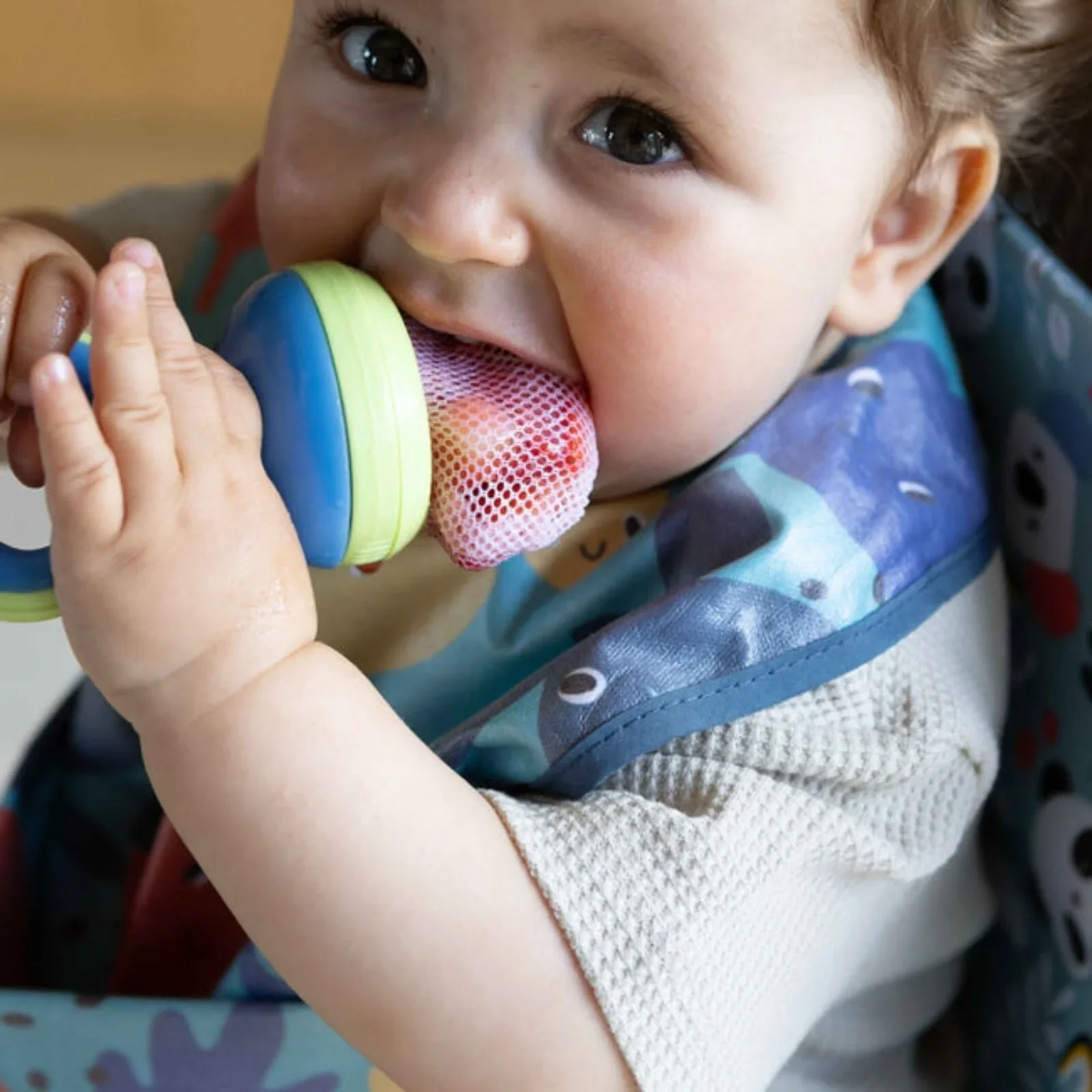 Nuby Nibbler with Hygenic Cover Assorted - Image 3