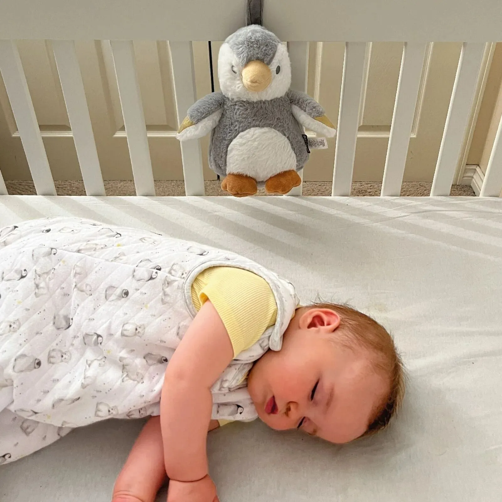 Nuby Penguin Sleep Aid with Cry Sensor - Image 3