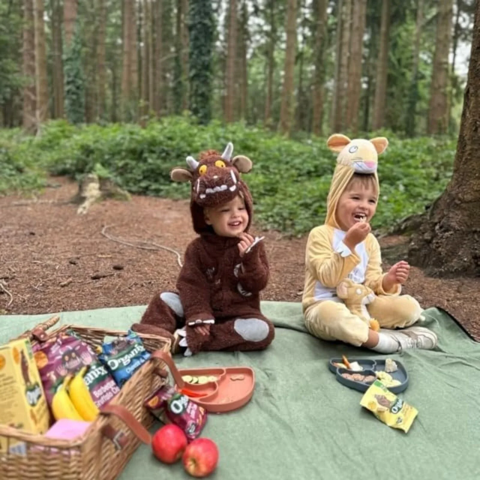Organix Gruffalo Apple Crumble Oaty Bar 12+ months 138g (6x23g) - Image 3