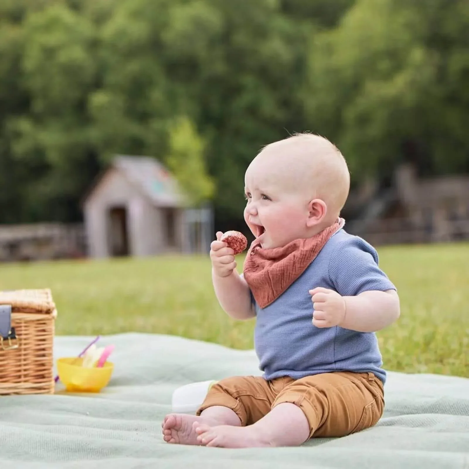 Organix Summer Fruits Rice Cake Clouds 7+ months 40g - Image 5