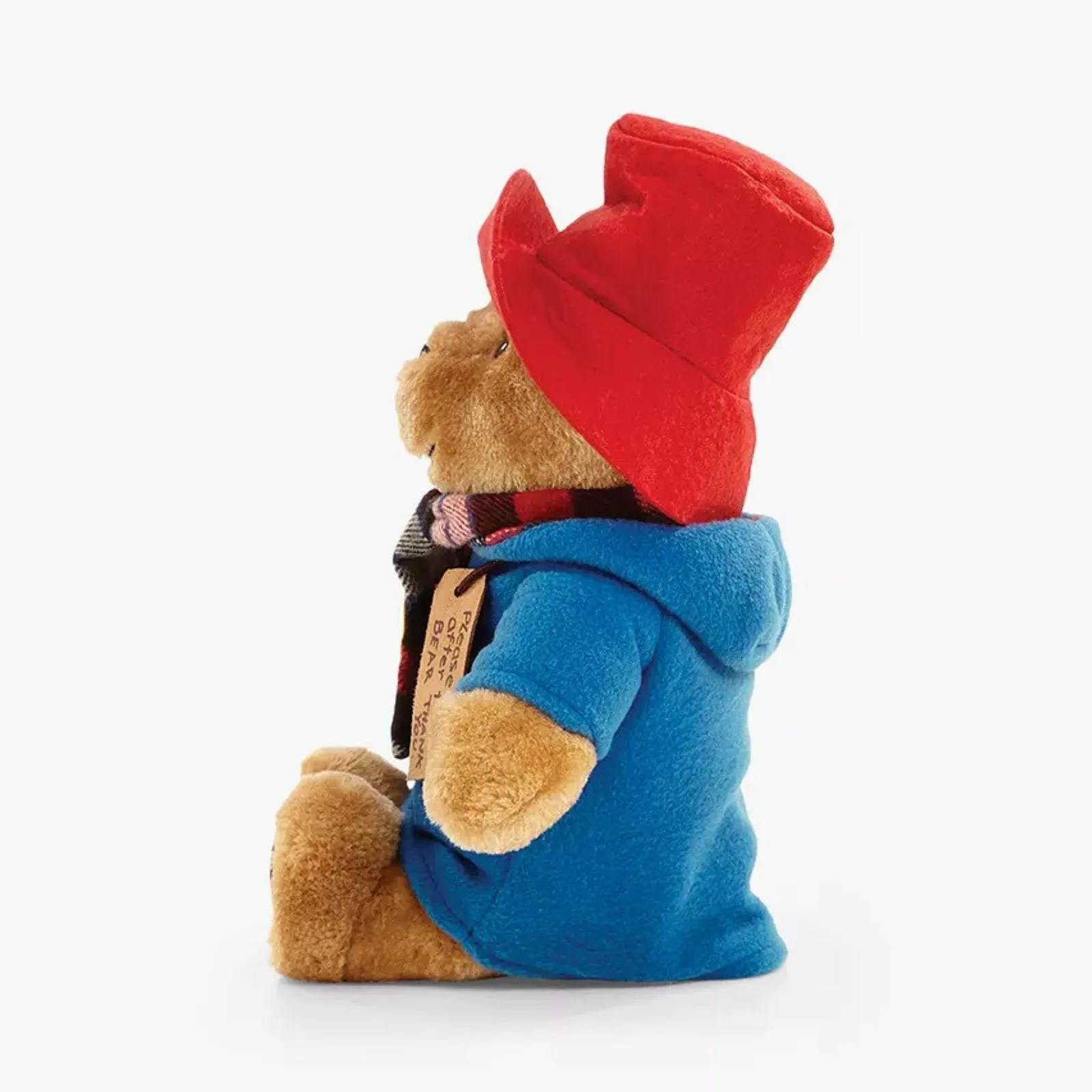 Paddington with Scarf - Image 4