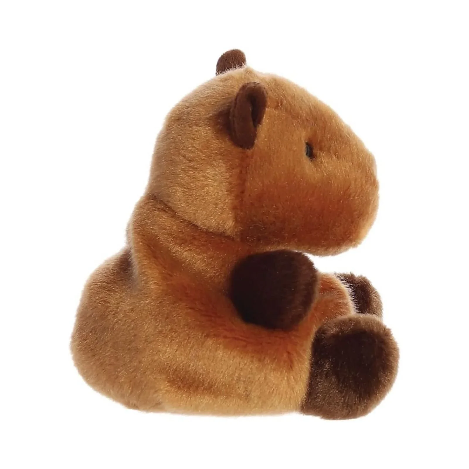 Palm Pals Sid Capybara Soft Toy 12cm - Image 4
