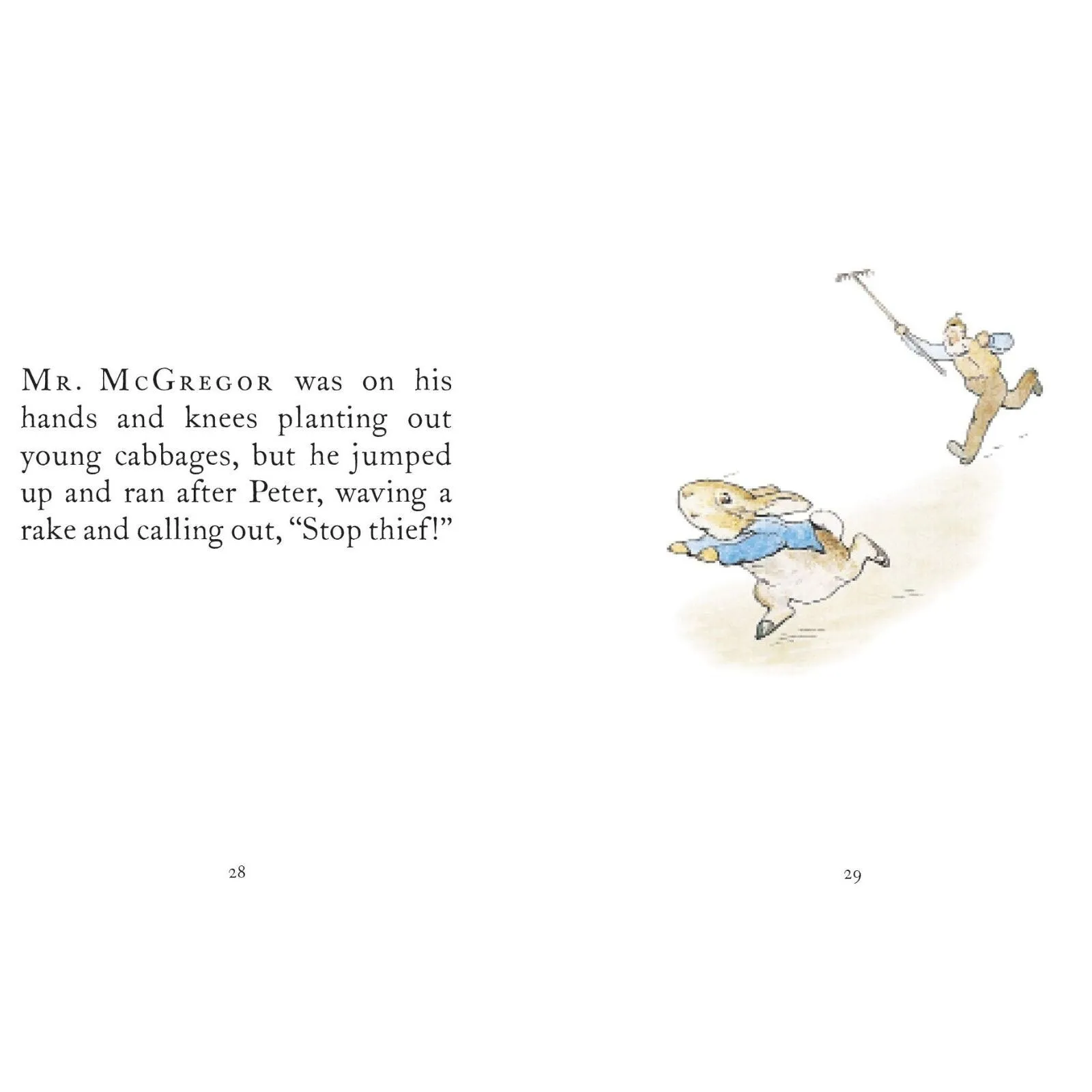 Peter Rabbit The Tale of Peter Rabbit - Image 2