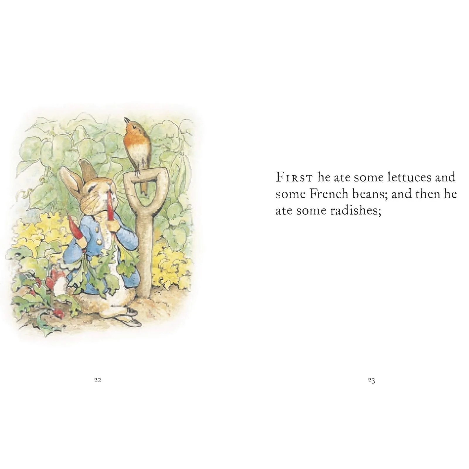 Peter Rabbit The Tale of Peter Rabbit - Image 3