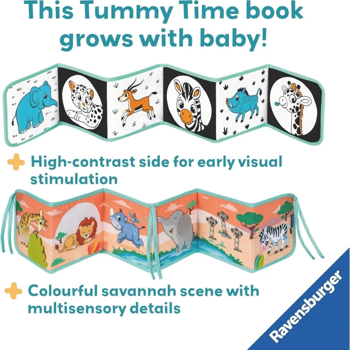 Play+ Tummy Time Wild Animals Book - Image 3