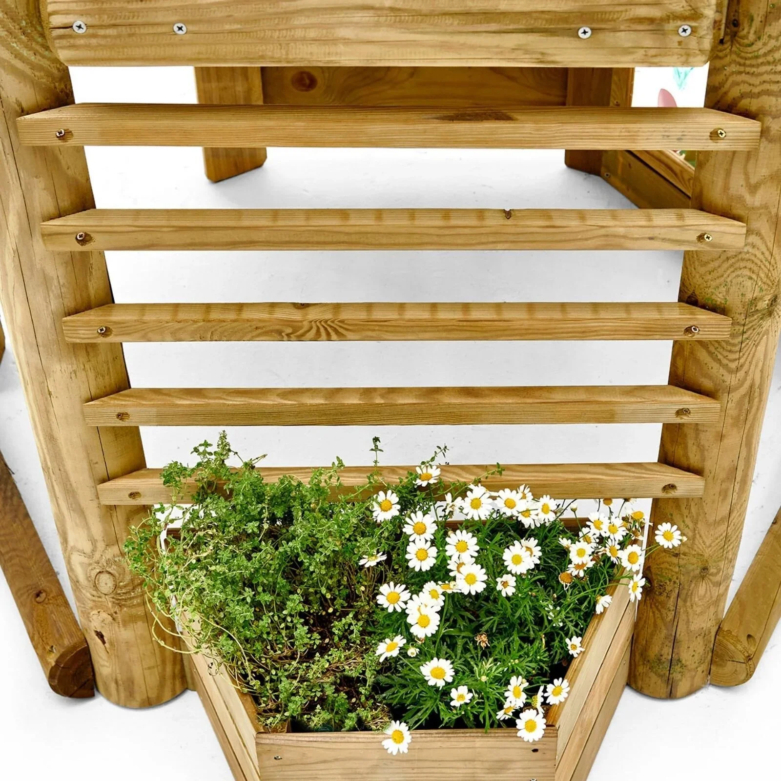 Plum Discovery Woodland Treehouse - Image 10