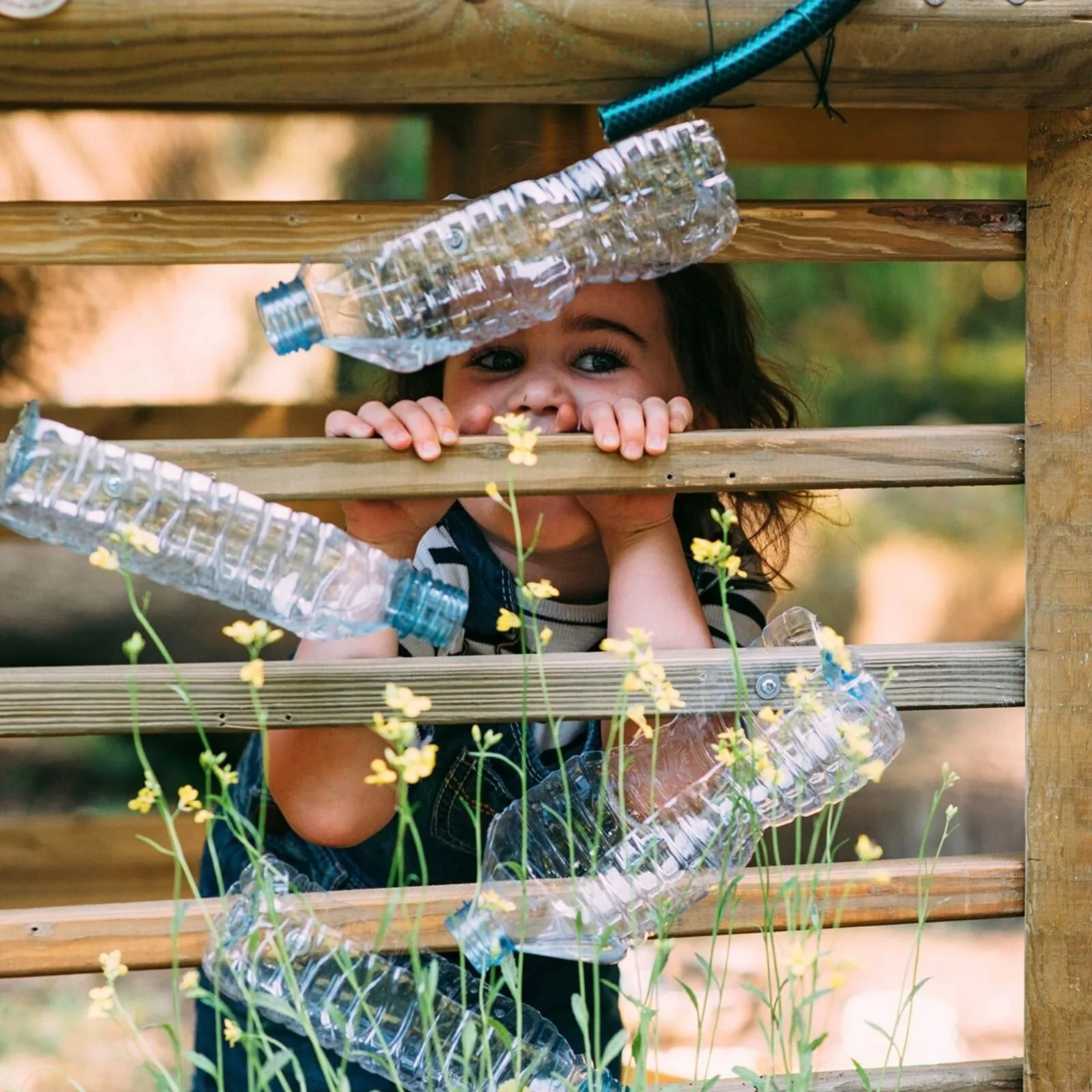 Plum Discovery Woodland Treehouse - Image 18