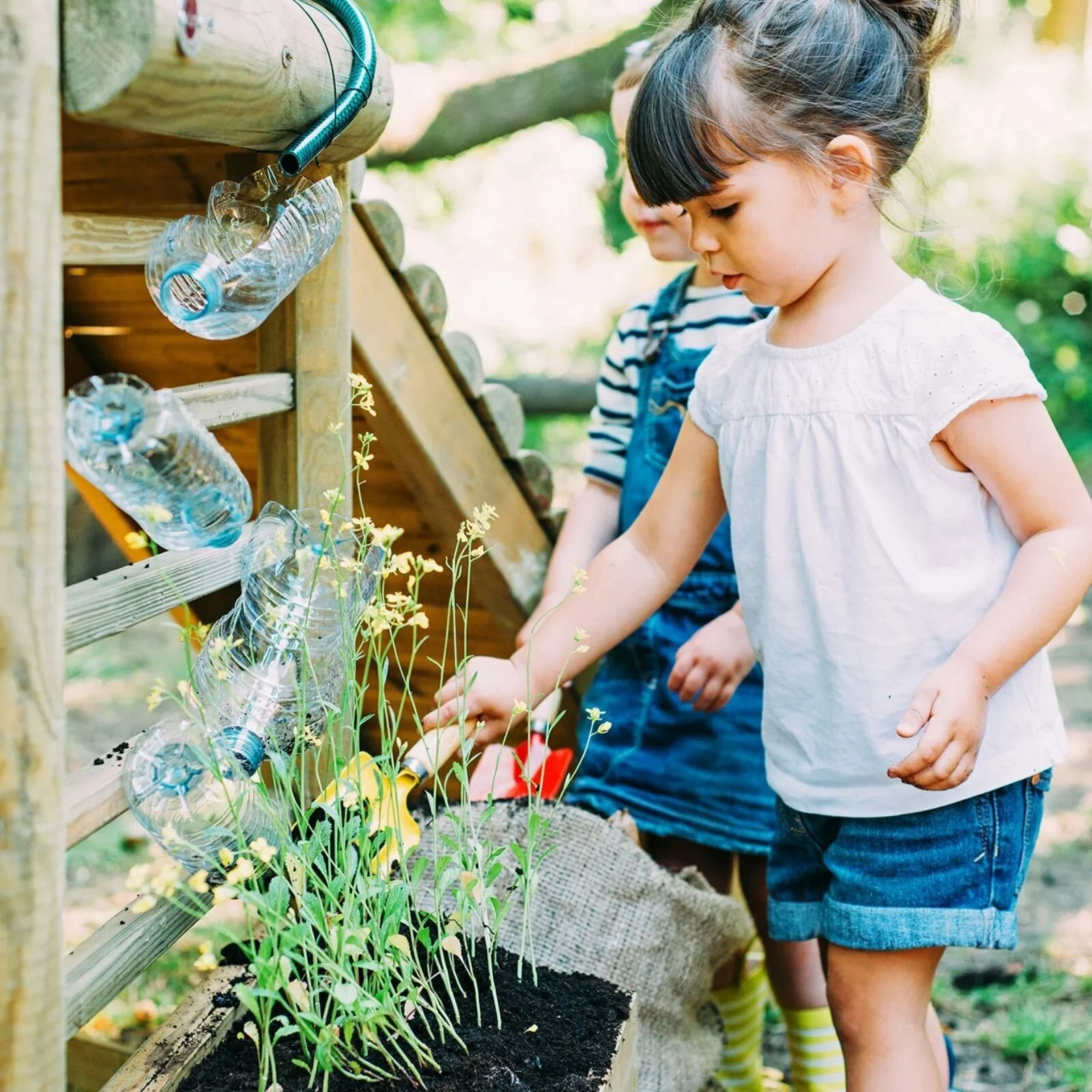 Plum Discovery Woodland Treehouse - Image 22