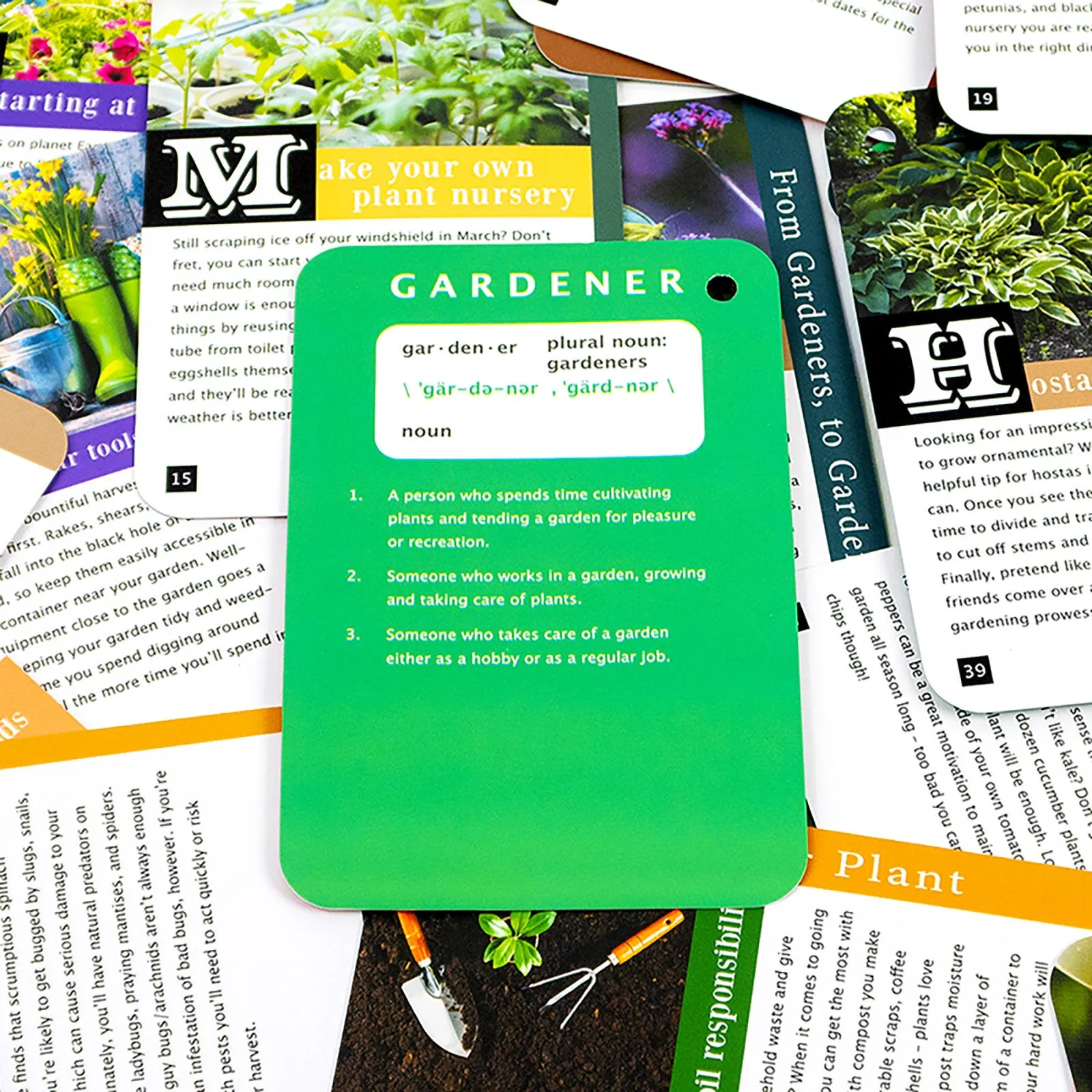 Recent Toys How to become a Gardener - Image 7