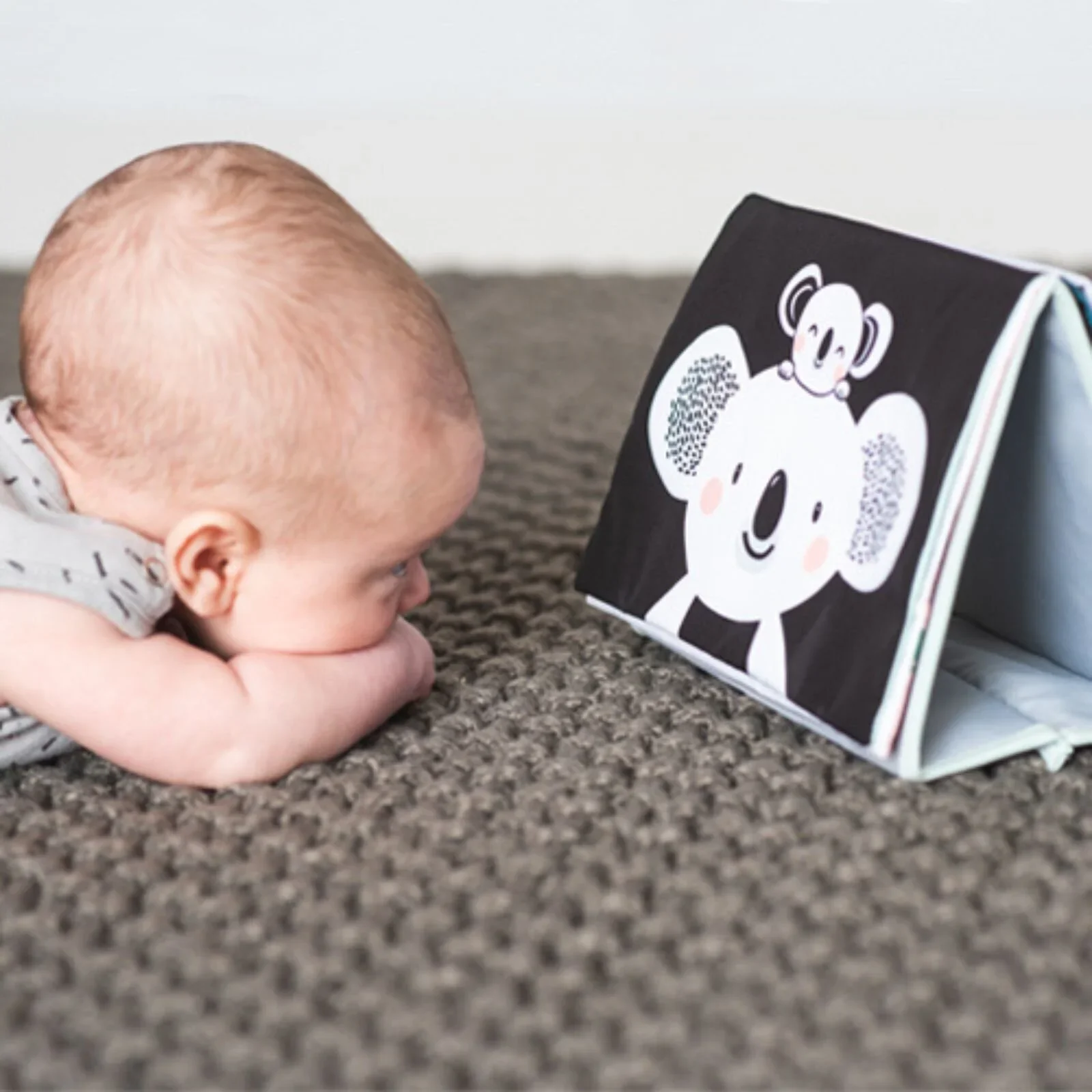 Taf Toys Kimmy Koala Tummy Time Book - Image 8
