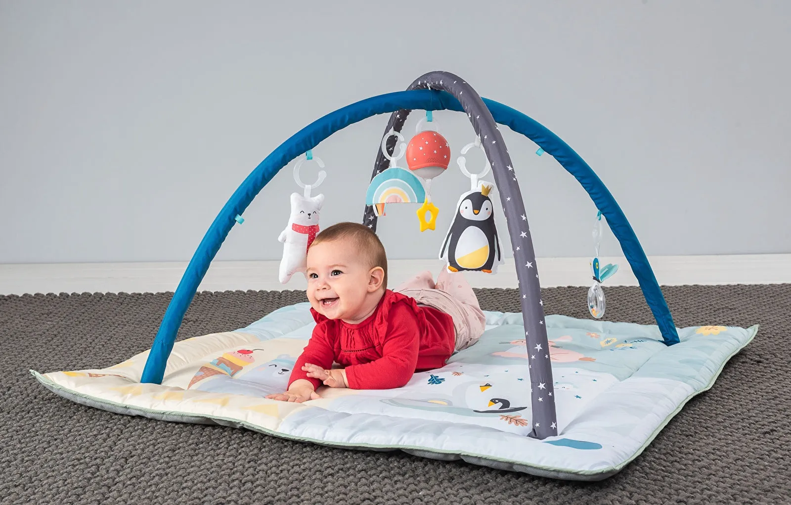 Taf Toys North Pole 4 Seasons Gym - Image 5
