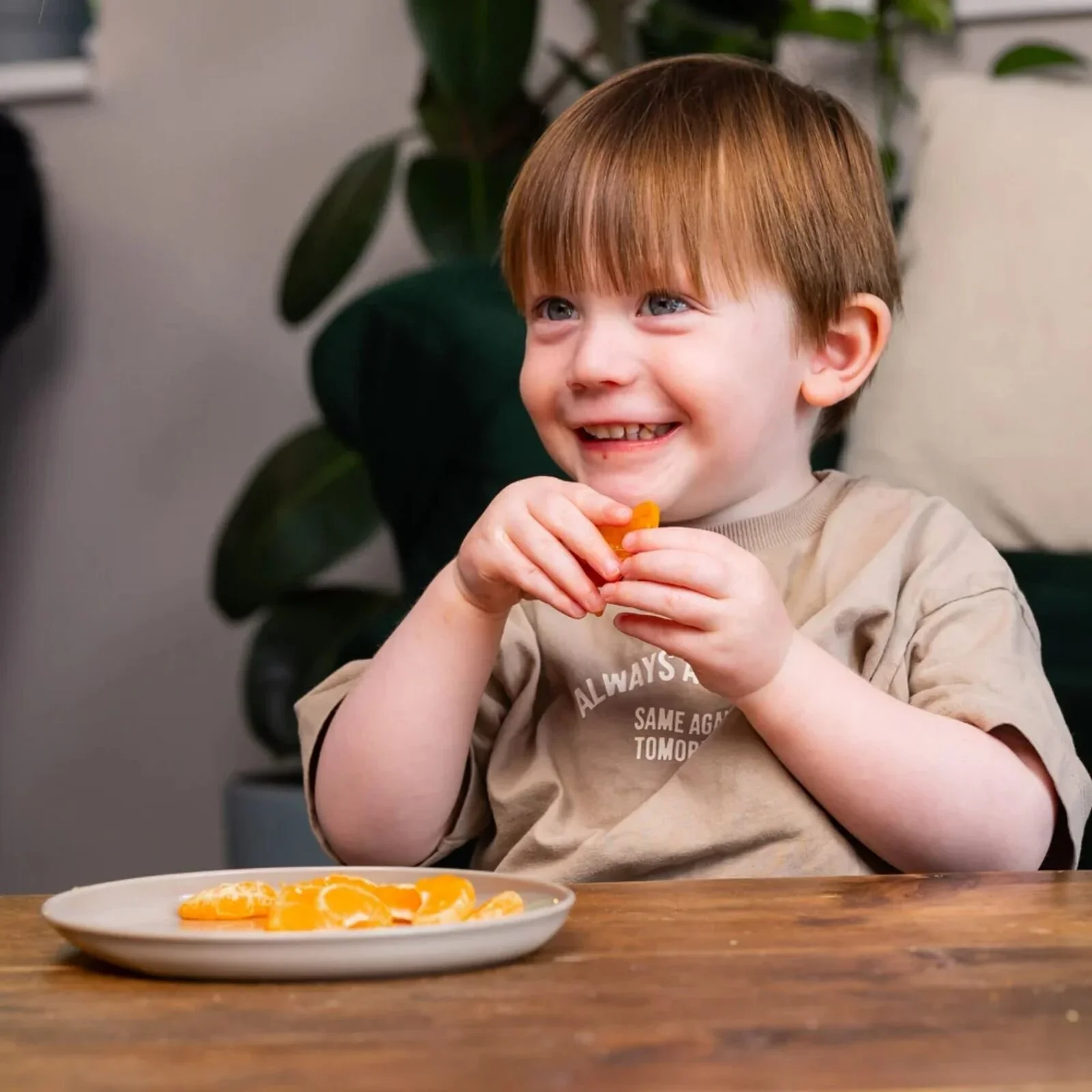 Vital Baby Nourish Perfectly Simple Plates Pack of 5 - Image 10