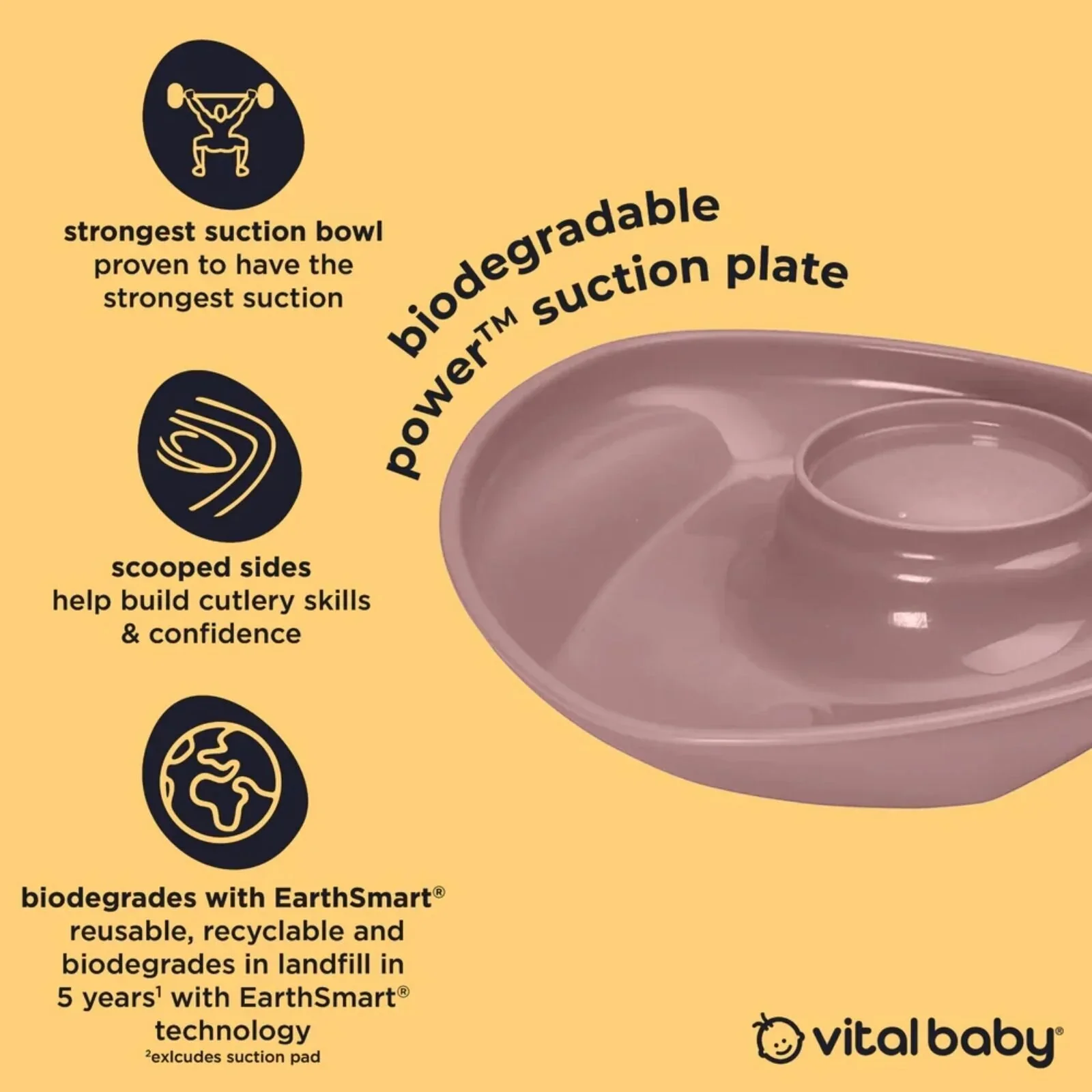 Vital Baby Nourish Power Suction Plate - Natural Berry - Image 3