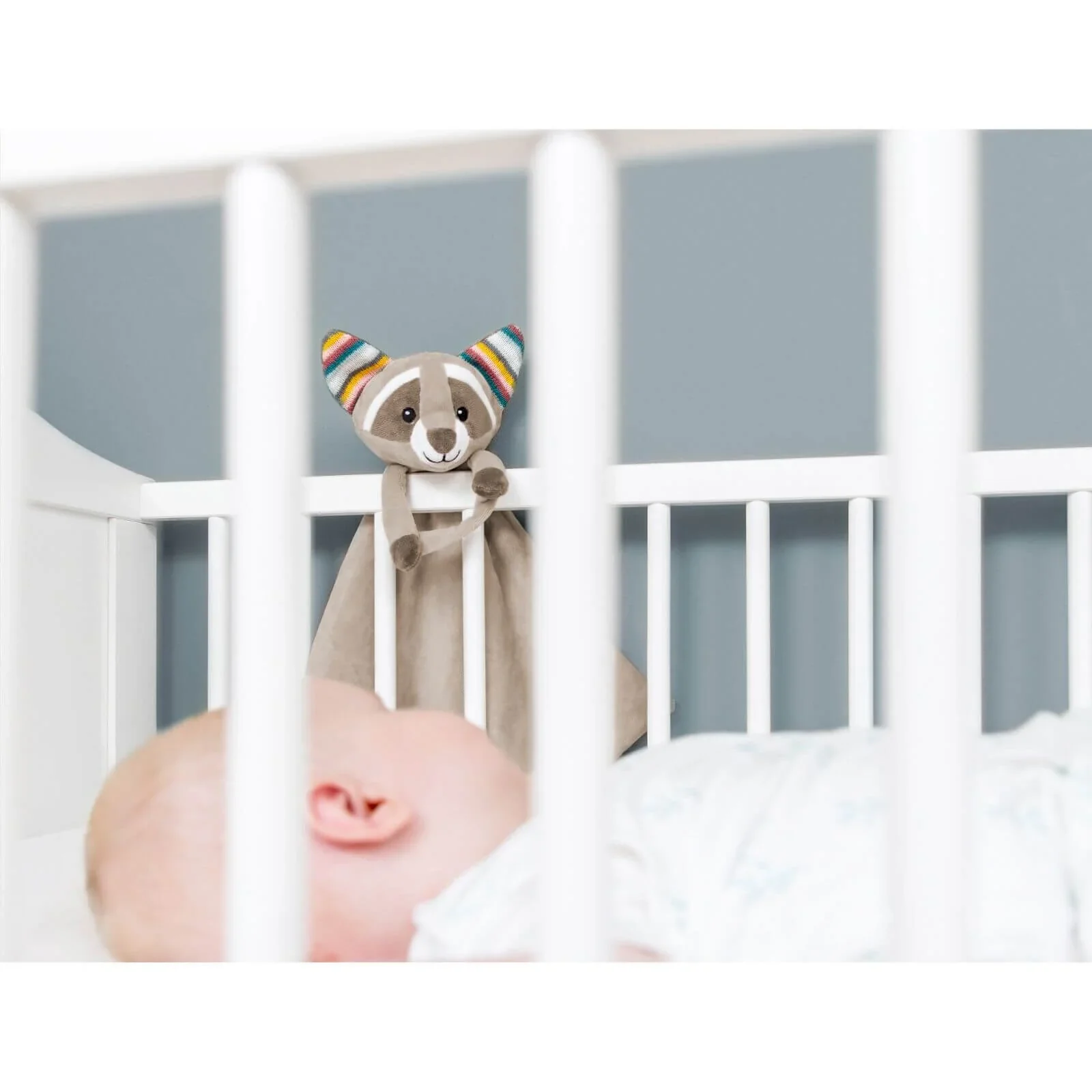 Zazu Robin The Raccoon Baby Comforter - Image 7